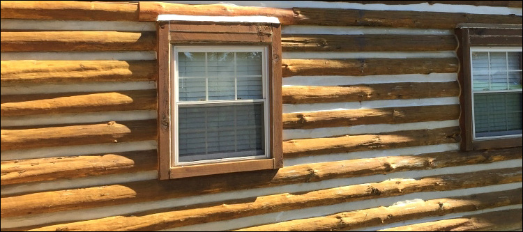 Log Home Whole Log Replacement  Columbia County, Georgia