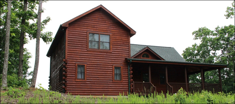 Professional Log Home Borate Application  Columbia County, Georgia